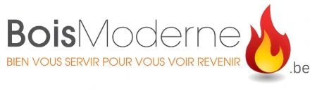 bois-moderne